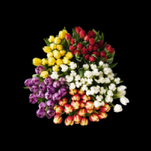 Tulpenstrauß 5.88 €