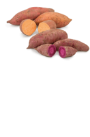 Ebl Naturkost Spanische Süßkartoffeln