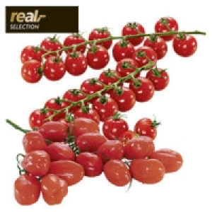 Niederlande Cherry-Rispentomaten Sweetpearl oder San Marzano 1.29 €