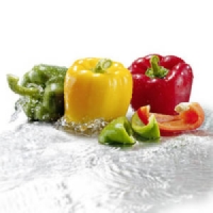 Spanien Niederlande Paprika rot, gelb oder gr&uuml;n 2.49&nbsp;&euro;