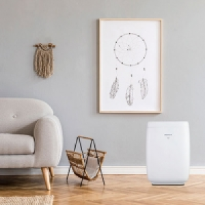 Smarter Luftreiniger 229.00 €
