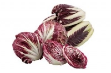 Radicchio 4.99 €