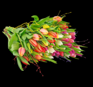Wunderschöner frühlingshafter Tulpenstrauß mit Zweigen 3.99 €