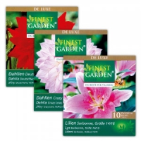 Norma Finest Garden Exklusive Frühjahrsblumenzwiebeln De Luxe