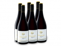 Lidl  6 x 0,75-l-Flasche Weinpaket Outlook Bay Syrah trocken, Rotwein