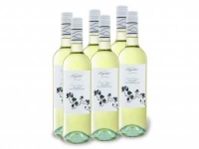 6 x 0,75-l-Flasche Weinpaket Magnolia Pinot Grigio Colline Pescaresi I 29.94 €