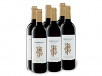 Lidl  6 x 0,75-l-Flasche Weinpaket Conquesta Tempranillo VdT de Castilla tro