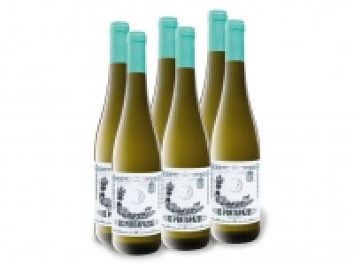 6 x 0,75-l-Flasche Weinpaket Os Portapazos Vino blanco Castilla trocke 17.99 €