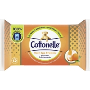 Rossmann Cottonelle Mein Spa Erlebnis feuchte Toilettentücher