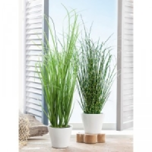 XL-Deko-Grasbusch 4.99 €