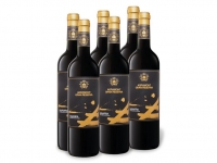 Lidl  6 x 0,75-l-Flasche Weinpaket Agramont Navarra DO Gran Reserva trocken,