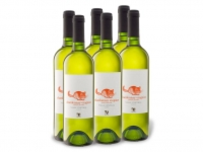 6 x 0,75-l-Flasche VIAJERO Chardonnay-Viognier Reserva Privada Valle C 18.99 €