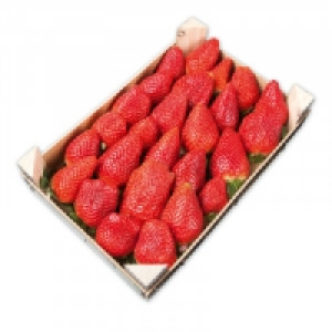 Premium Erdbeeren 0.99 €
