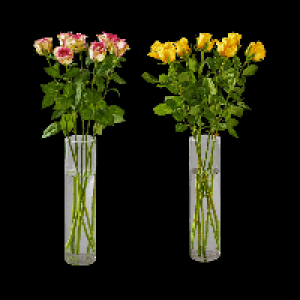 GARDENLINE Langstielige Rosen 5.99 €