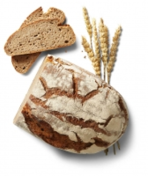 Krustenbrot 0.88&nbsp;&euro;