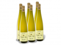 Lidl  6 x 0,75-l-Flasche Weinpaket Riesling Vieilles Vignes Alsace AOC trock