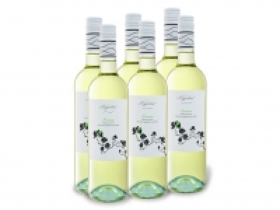 6 x 0,75-l-Flasche Weinpaket Magnolia Pecorino Colline Pescaresi IGP t 33.99 €