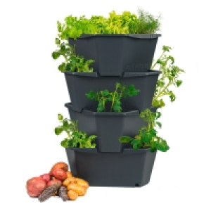 GUSTA GARDEN Kartoffelturm Paul Potato