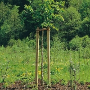 Baumpfahl 6.49 €