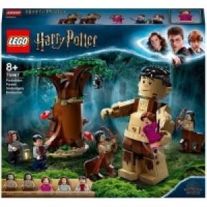 LEGO® Harry Potter - 75967 Der Verbotene Wald: Begegnung mit Umbridge