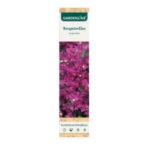 GARDENLINE® Premium Beetpflanzen 1.59 €