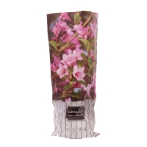 GARDENLINE® Zierstrauch