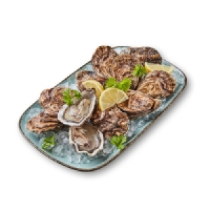 GOURMET Felsenaustern 7.99 €