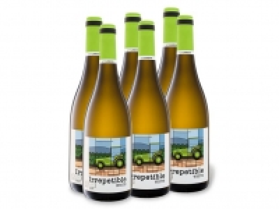 6 x 0,75-l-Flasche Weinpaket Irrepetible Manchuela DO trocken, Weißwei 24.99 €