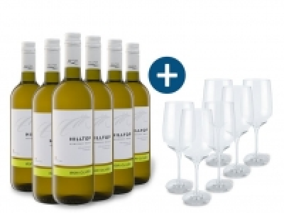 6 x 0,75-l-Flasche Weinpaket Hilltop Irsai Olivér PGI trocken, Weißwei 34.99 €