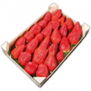 Premium Erdbeeren 7.99 €