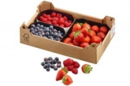 Beerenmischkiste 8.99 €