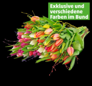 Penny  Wunderschöner frühlingshafter Tulpenstrauß mit Zweigen