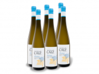 6 x 0,75-l-Flasche Weinpaket Encostas de Caiz Avesso Vinho Verde DOC,  24.99 €