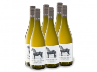6 x 0,75-l-Flasche Percheron Südafrika Chenin Blanc Viognier trocken,  27.99 €