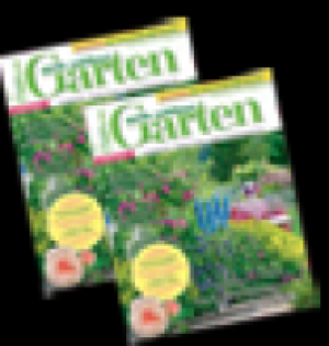 Florabest Geflecht-Rollliege