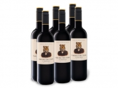6 x 0,75-l-Flasche Weinpaket Taming the Tiger Südafrika Pinotage Weste 28.99 €