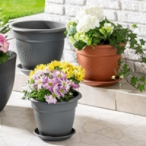 Blumentopf-Set Sydney 9.99 €