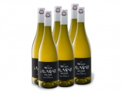 6 x 0,75-l-Flasche Maison La Lanne Sauvignon Blanc IGP trocke, Weißwei 29.99 €