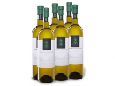 6 x 0,75-l-Flasche Weinpaket Traminer Aromatico Friuli DOC trocken, We 23.99 €