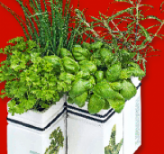 Kr&auml;utervasen-Anzucht-Sets