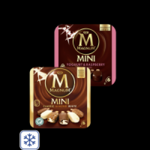Magnum oder Cornetto Multipack Eis 1.99 €