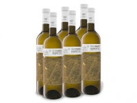 Lidl  6 x 0,75-l-Flasche Seramaris Vermentino Terre Siciliane IGT trocken, W