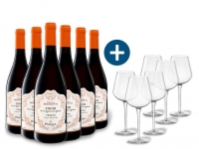 Lidl  6 x 0,75-l-Flasche Weinpaket Pasqua Villa Borghetti FHIOR Veneto Passi