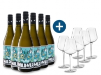 Lidl  6 x 0,75-l-Flasche Weinpaket Weingut Wildner Sauvignon Blanc QbA trock