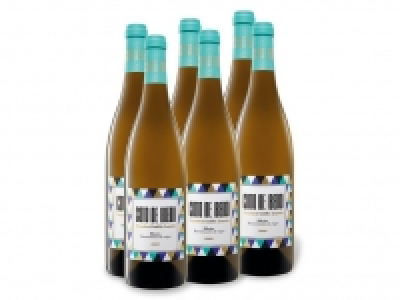 6 x 0,75-l-Flasche Weinpaket Coto de Ibedo Ribeiro D.O. trocken, Weißw 23.99 €