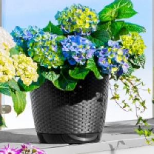 Blumentopf 6.99 €