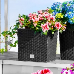 Blumentopf 9.99 €