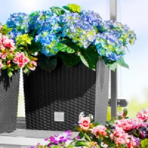 Blumentopf 14.99 €