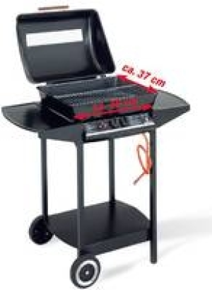 Lavastein-Gasgrillwagen