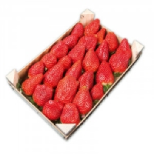 Premium Erdbeeren 10.99 €